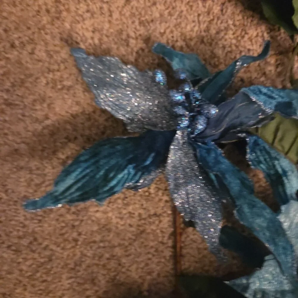 Unbranded 12 teal